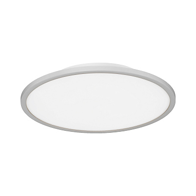 Потолочный светильник EVOLUCE ТАССЕН SLE1811-502-01